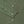 Tencel Collarless Shirt - Moss Green
